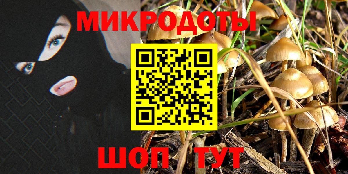 Лобня  Галлюциногенные грибы GOLDEN TEACHER  Вход с VPN 