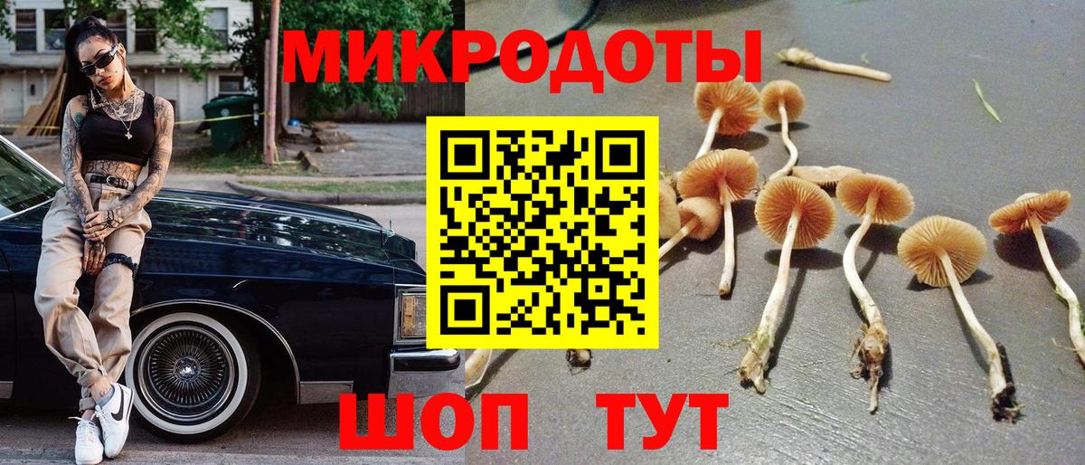 Галлюциногенные грибы Cubensis Лобня